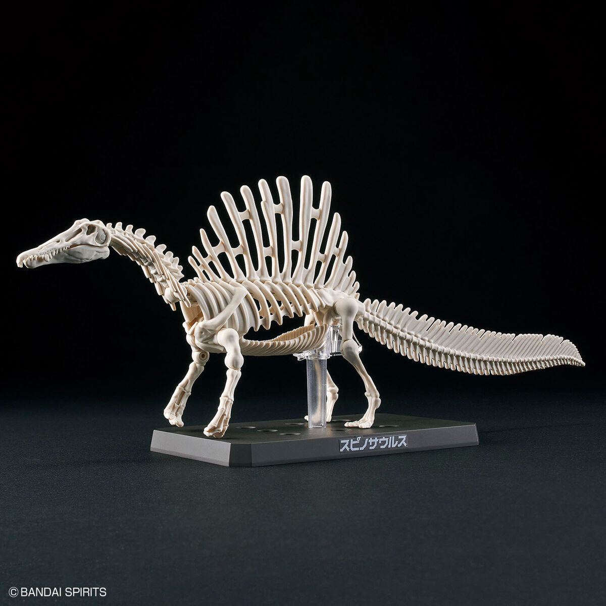 Bandai Dinosaur Model Kit Plannosaurus: Spinosaurus