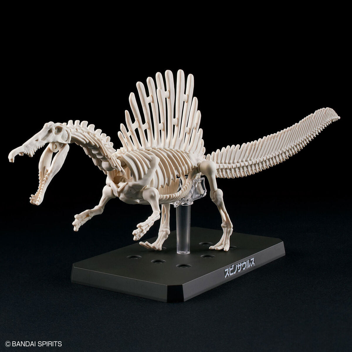 Bandai Dinosaur Model Kit Plannosaurus: Spinosaurus