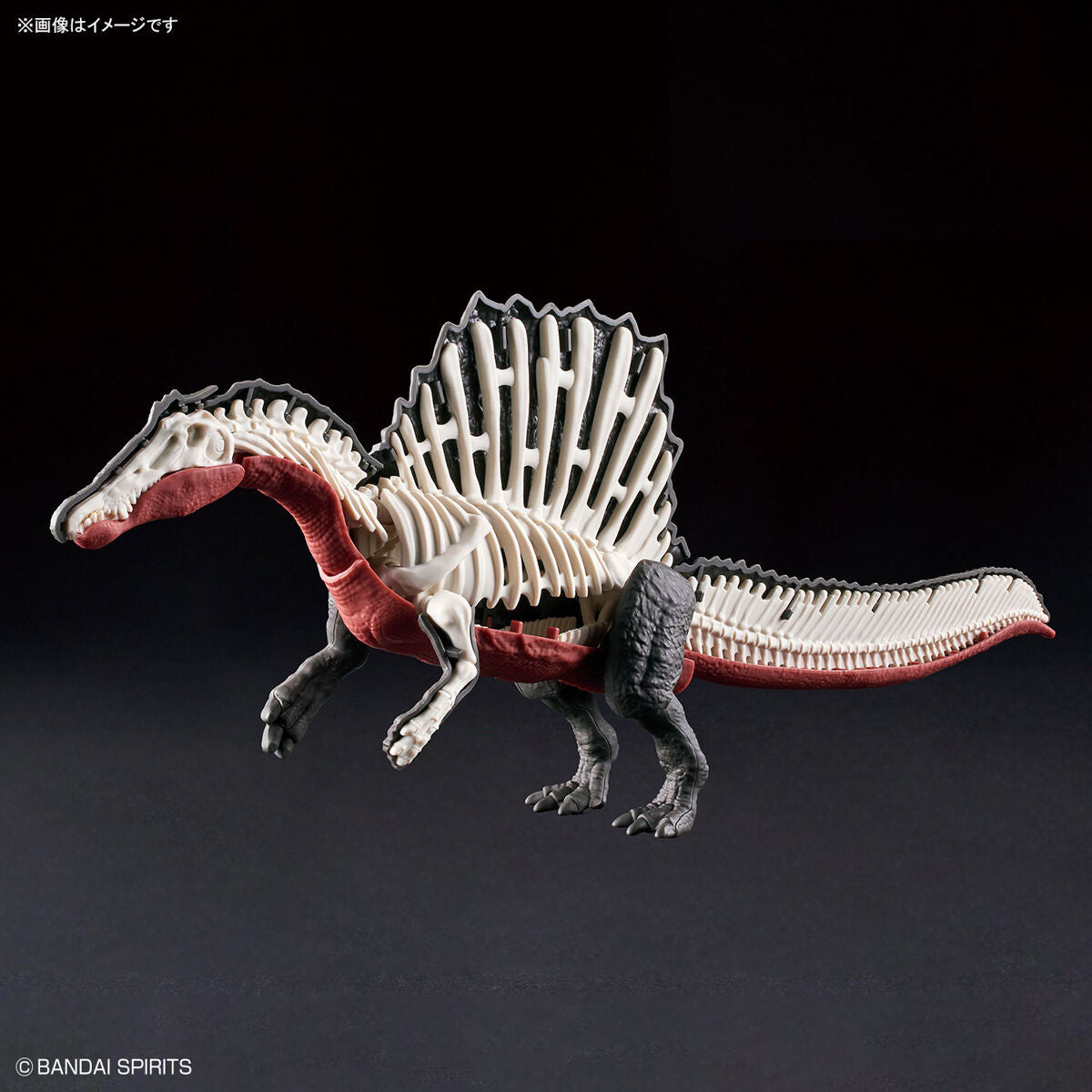 Bandai Dinosaur Model Kit Plannosaurus: Spinosaurus