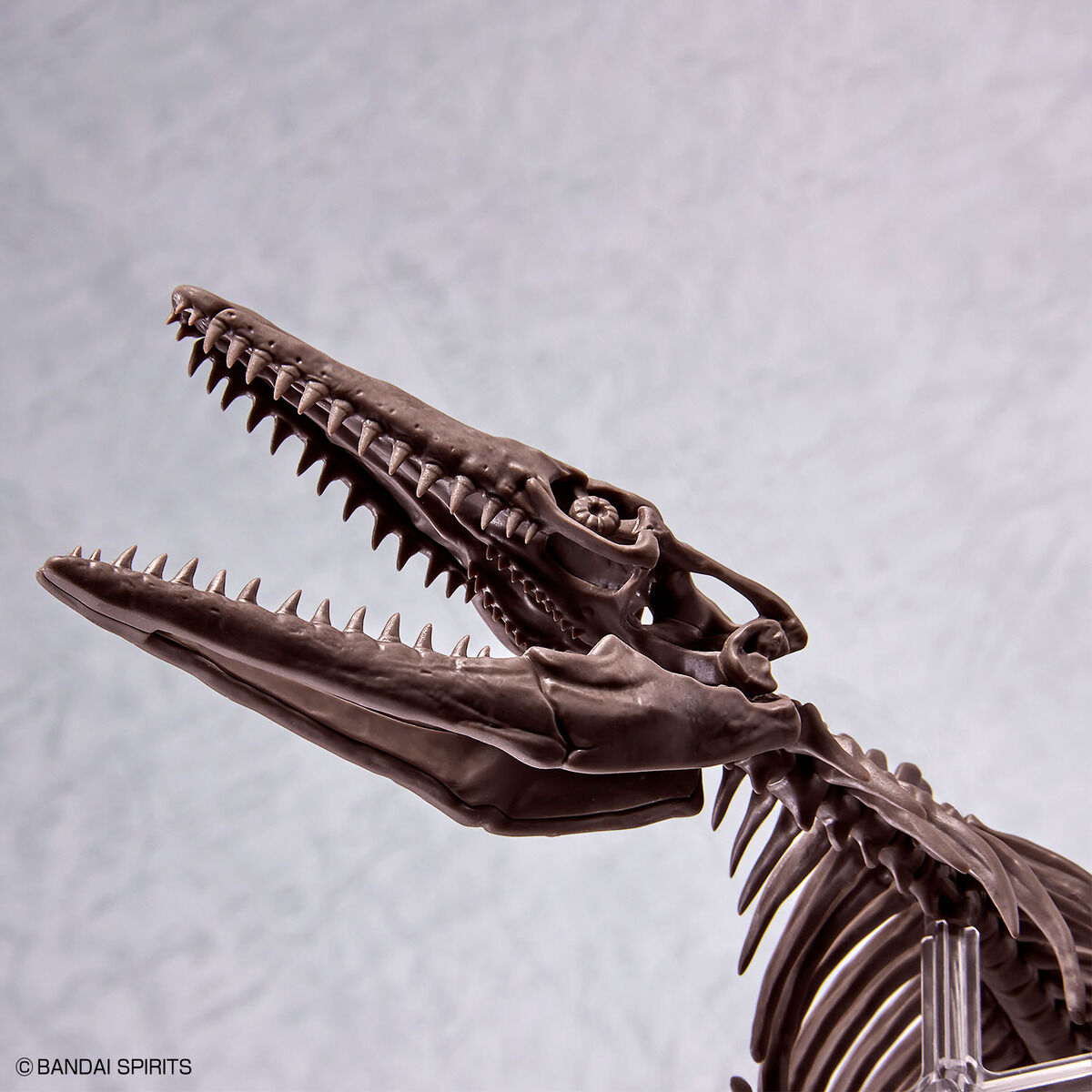 Bandai Dinosaur Model Kit: 1/32 Imaginary Skeleton Mosasaurus