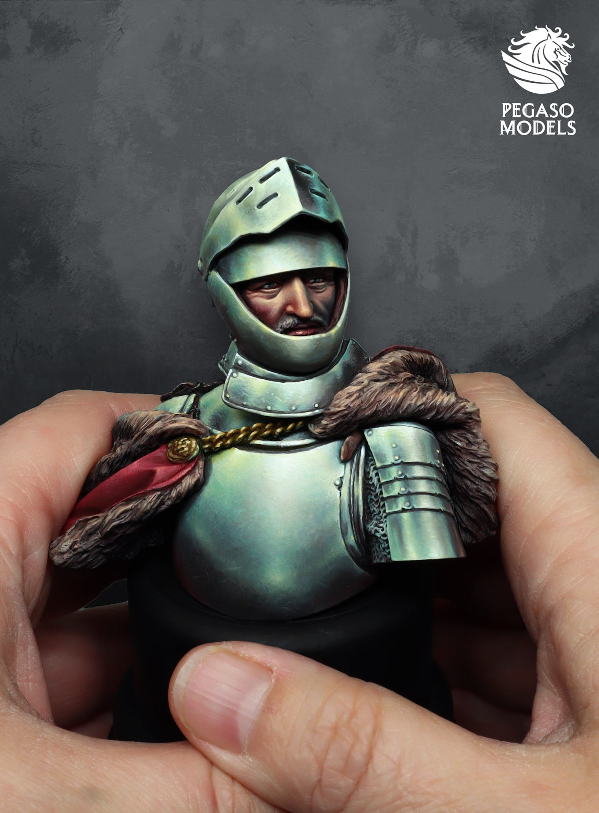 Knight XV Century: Steel Study