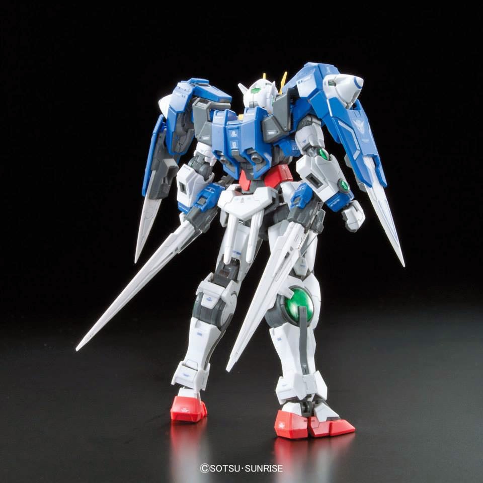 RG #18 GN-0000+GNR-010 00 Raiser