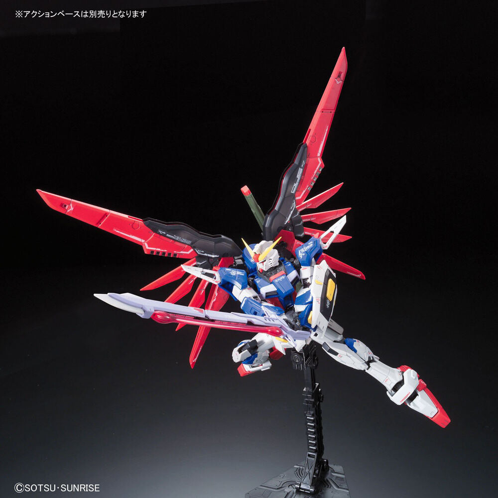 RG #11 ZGMF-X42S Destiny Gundam