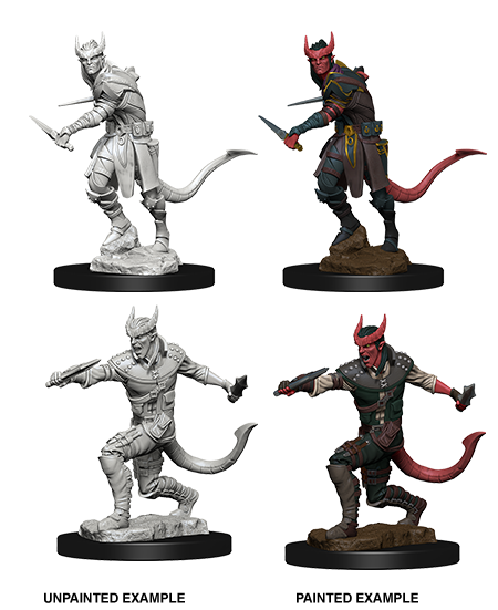 D&D Nolzur's Marvelous Miniatures: Tiefling Male Rogue