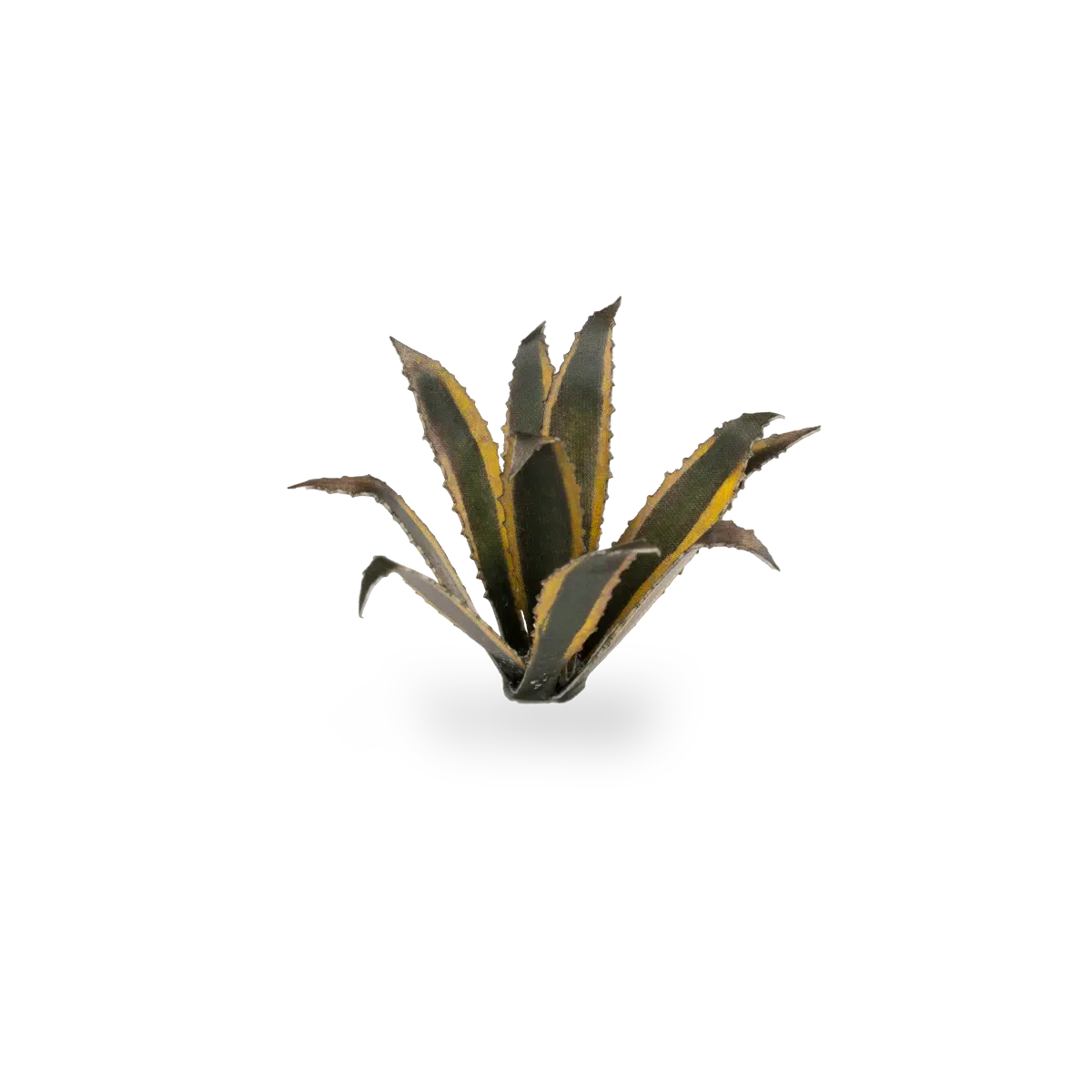 Laser Plants: Agave