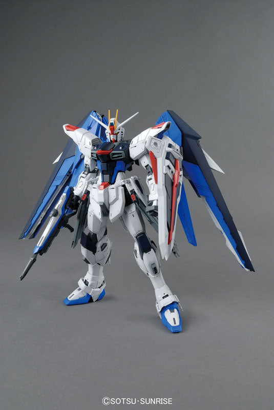 MG #192 Freedom Gundam Ver. 2.0