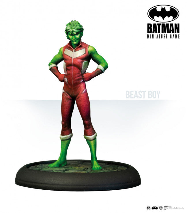 Batman Miniature Game: Teen Titans