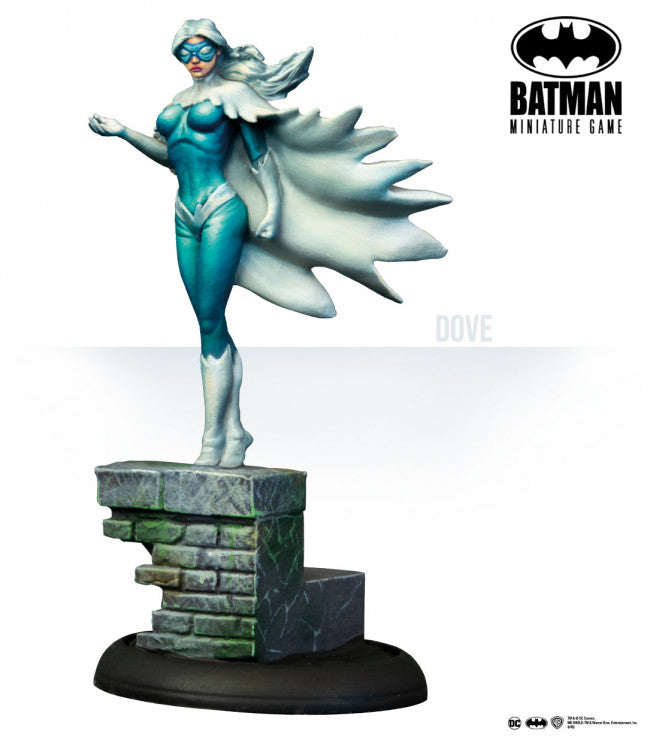 Batman Miniature Game: Teen Titans