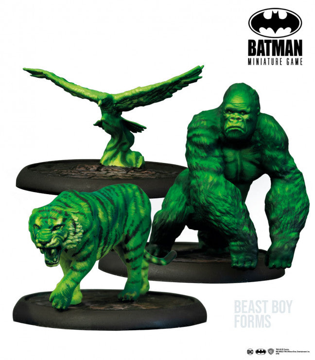 Batman Miniature Game: Teen Titans