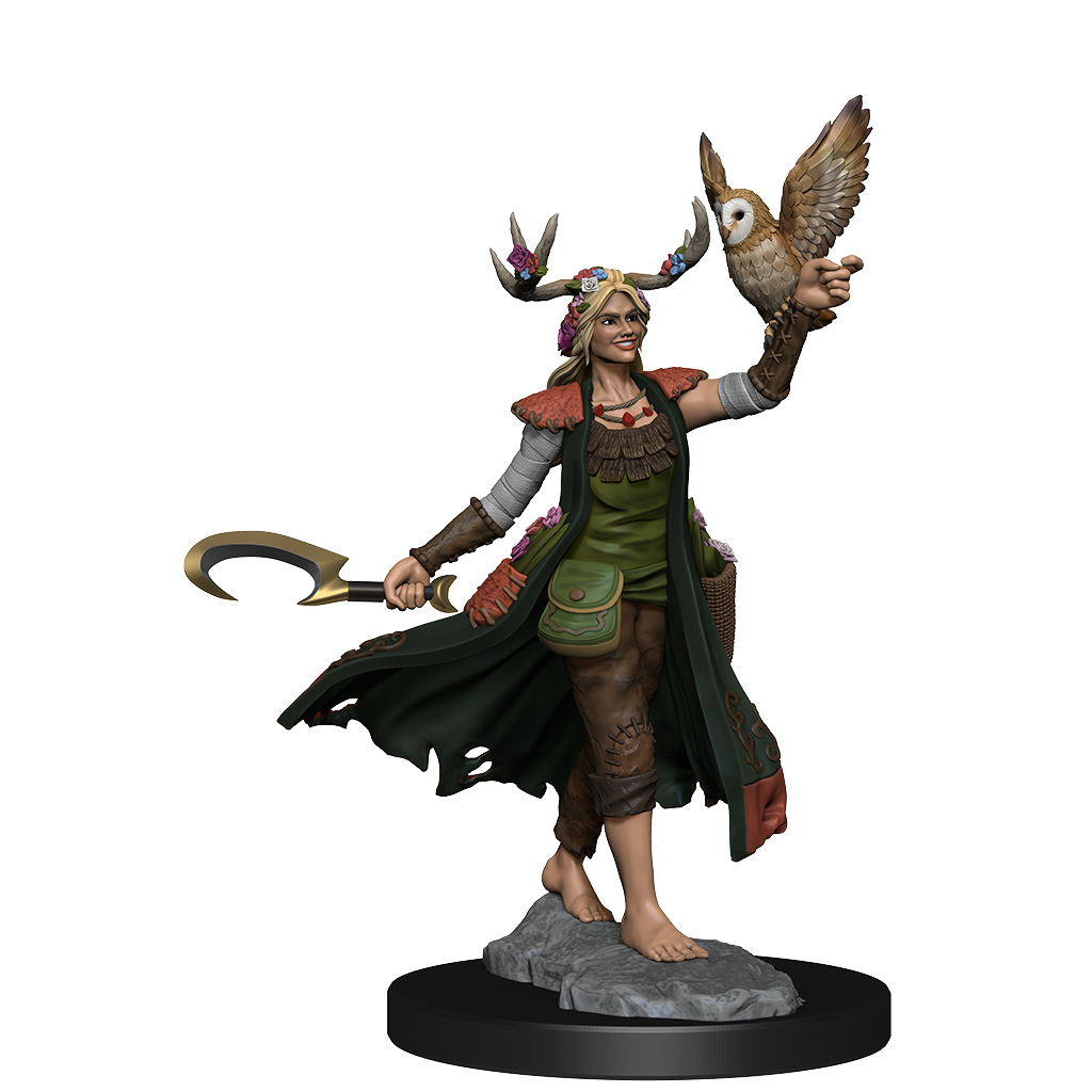 D&D Frameworks: Human Druid Female - Unpainted and Unassembled